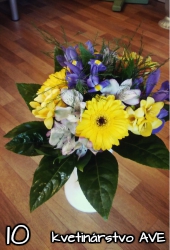 Flower 10