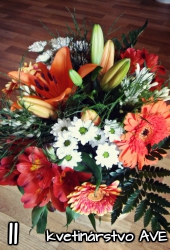 Flower 11