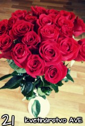 Flower 21