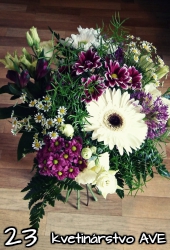 Flower 23