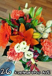 Flower 26