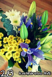 Flower 28