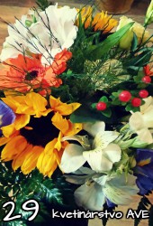 Flower 29